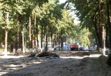 В Шымкенте на улице Бейбитшилик началось строительство городского Арбата строительство Арбата