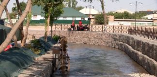 Житель Шымкента нашел «эффективный способ» борьбы с коронавирусом Кошкарата