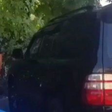 «Герой» скандального видео арестован в Шымкенте "Герой" скандального видео арестован