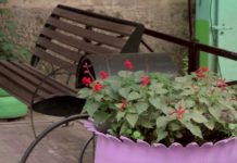 130 шымкентских дворов принимают участие в конкурсе «Чистый двор, чистая улица»