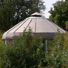 В Шымкентском зоопарке может появиться остров гиббонов