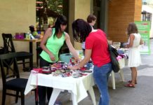 В Шымкенте гаражная распродажа помогла приюту животных