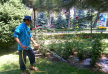 500 студентов Туркестанской области на каникулах работали