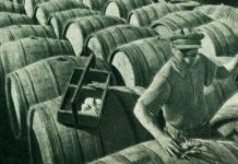 Виноградники в Казахстане: как они расцвели и как их погубили