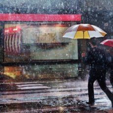 В Шымкенте в середине недели сохранится тёплая погода, к четвергу ожидается дождь