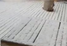 На Шымбулаке выпал снег