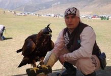 Полет казахстанского беркута сорвал аплодисменты на Играх кочевников Полет казахстанского беркута