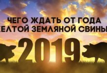Предупрежден — значит вооружен: что готовит нам год Желтой Земляной Свиньи Желтая Земляная Свинья