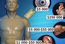 Подача объявлений о продаже человеческих органов станет наказуемой в Казахстане человеческие органы