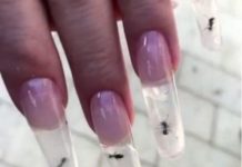 «Муравьи – тоже люди!»: Маникюр с живыми насекомыми возмутил пользователей соцсетей Мастера маникюрного салона поместили живых муравьёв под ногти