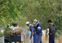 На кладбищах Шымкента наводят порядок На кладбищах Шымкента наводят в порядок