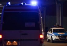 14-летняя девочка погибла из-за лошади на трассе под Алматы авария