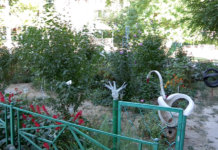 В Шымкенте 4 миллиона тенге получат победители акции «Чистый город» Чистый двор