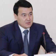 Мажилис согласовал кандидатуру министра финансов