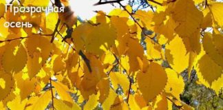 Погода на 19 сентября Осень