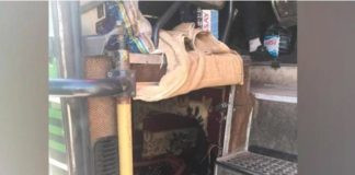 Водителя автобуса из Туркестанской области оштрафовали за пассажира в багажнике Пассажир в багажнике