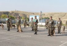 В Шымкенте проходят соревнования кинологов Национальной гвардии