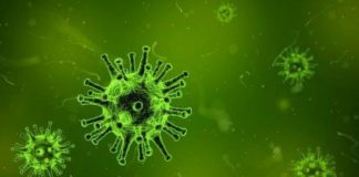 Казахстанцев предупредили о двух новых видах гриппа вирус