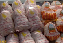 В Туркменистане имитируют наличие кур на прилавках, набивая ватой упаковки куры=вата