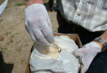 В Шымкенте проходит операция «Допинг»