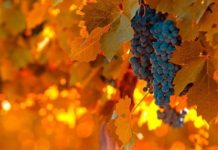 Пакует лето чемоданы: прогноз на сентябрь дали синоптики