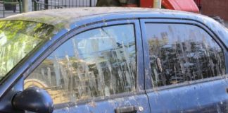 Как удалить птичий помет с кузова автомобиля?