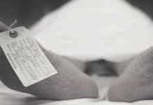 В Шымкенте школьника нашли мертвым