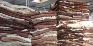 В Казахстане будет введен запрет на экспорт необработанных шкур КРС шкура