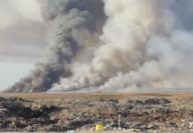 Неизвестные отстреливали диких животных во время пожара в Мангистау пожар в селе Баянды