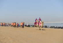 В Шардаре прошел фестиваль «SAFARI SHARDARA»