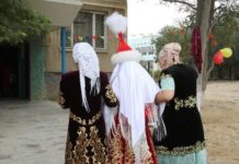 Келинку затащили в дом с помощью подъемного крана Келинку затащили в дом с помощью подъемного крана