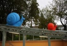 Гигантские улитки появились на улицах Алматы, лебеди — в дендропарке Шымкента