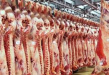 Туркестанская область — лидер по экспорту мяса мясо