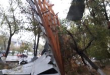 В Шымкенте коммунальные службы устраняют последствия сильного ветра