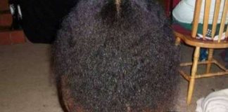 Шея или обнажённая спина: пользователей Сети заворожила новая иллюзия спина или шея