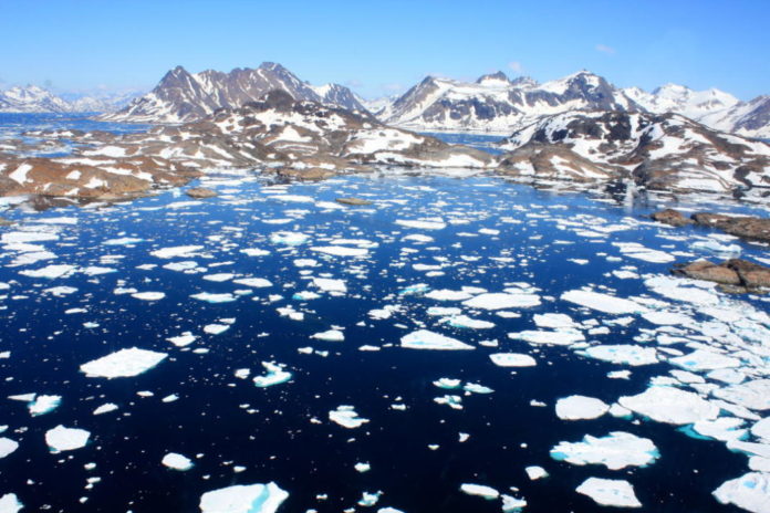 арктические льды