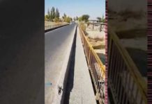 Жителей поселка Карабастау в Шымкенте пугает дырявый мост (видео) Жителей поселка Карабастау в Шымкенте пугает дырявый мост