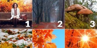 Гадание по картинке может кардинально изменить планы на октябрь 2018 года осень