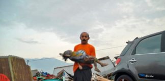 В Индонезии произошло ещё одно землетрясение Индонезия