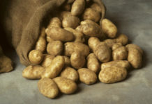 Минсельхоз РК направит в адрес Россельхознадзора официальное письмо о неправомерных действиях картофель
