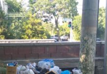 Какой штраф грозит за выброс мусора в неположенном месте