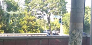 3300 адмпротоколов составлены на шымкентцев, загрязняющих мегаполис мусором и навозом