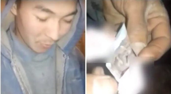Казахстанец обнаружил мышат в лапше быстрого приготовления