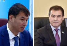 Чем будут заниматься новые сенаторы Сатыбалды и Бекназаров