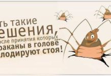 В конфликте со всем миром, или По одну сторону с ними