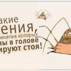 В конфликте со всем миром, или По одну сторону с ними