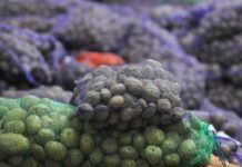 В Казахстан вернули 134 тонны овощей овощи