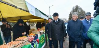 Впервые в Туркестане прошел сельскохозяйственный фестиваль «AGROFEST-2018»