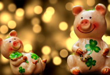 Желтая Свинья. В чем встречать 2019 год и что готовить? год свиньи