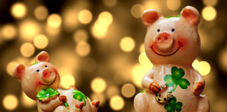 Желтая Свинья. В чем встречать 2019 год и что готовить? год свиньи